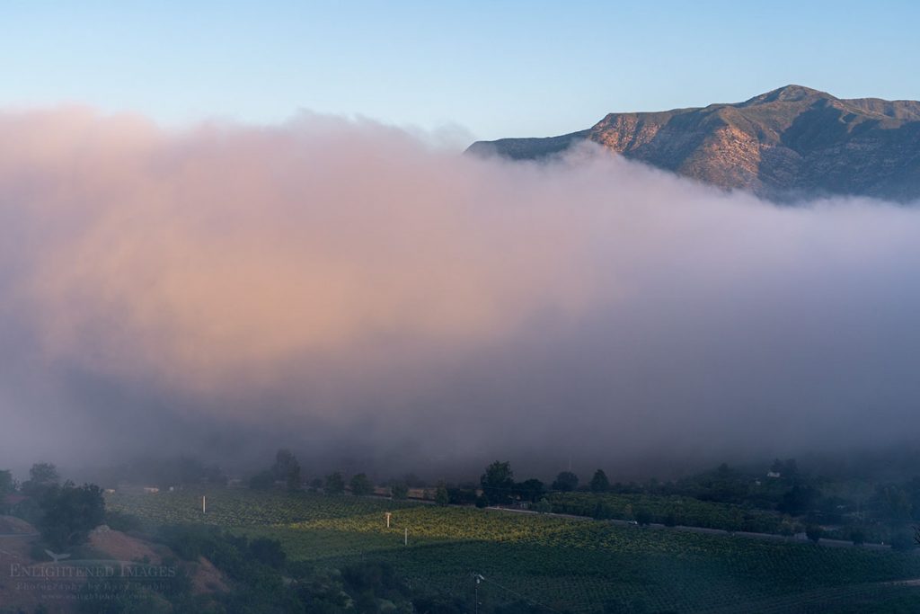 Photo picture ofMorning light on fog above the Ojai Valley, Ventura County, California