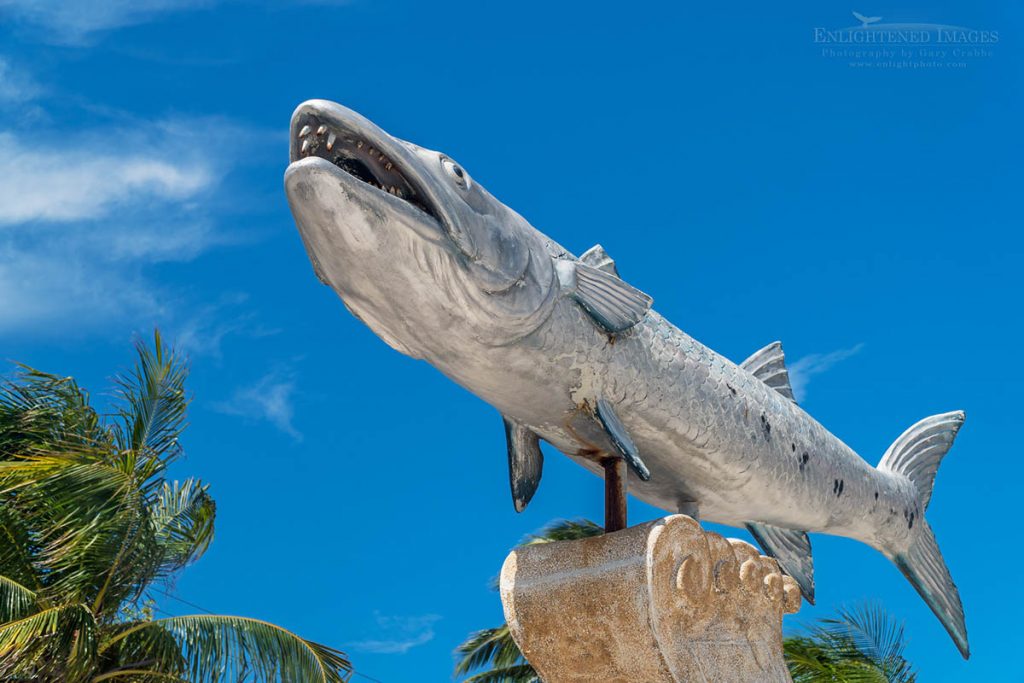 Photo: Steet art sculpture of Barracuda at Playa Norte, Isla Mujeres, Yucatan Peninsula, Quintana Roo, Mexico