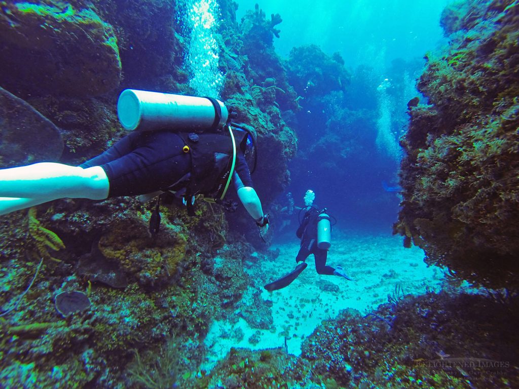 Photo: Scuba diving on reef at Cozumel on Maya Riviera, Quintana Roo, Mexico