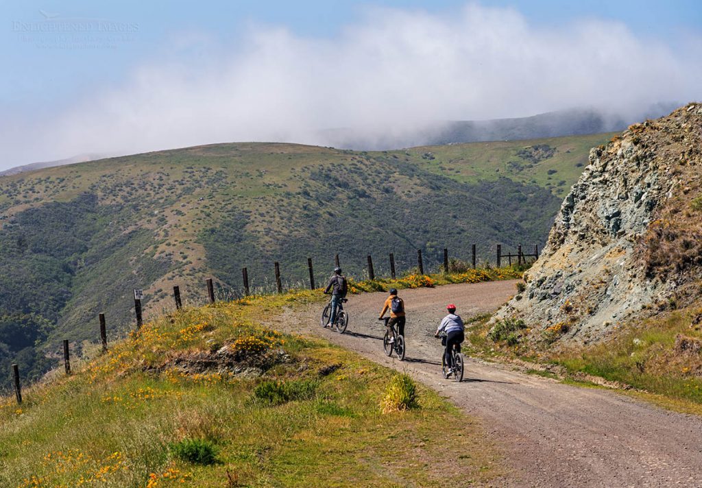 Photo picture of Cyclists riding on the Old Coast Road, Big Sur coast, Monterey County, California