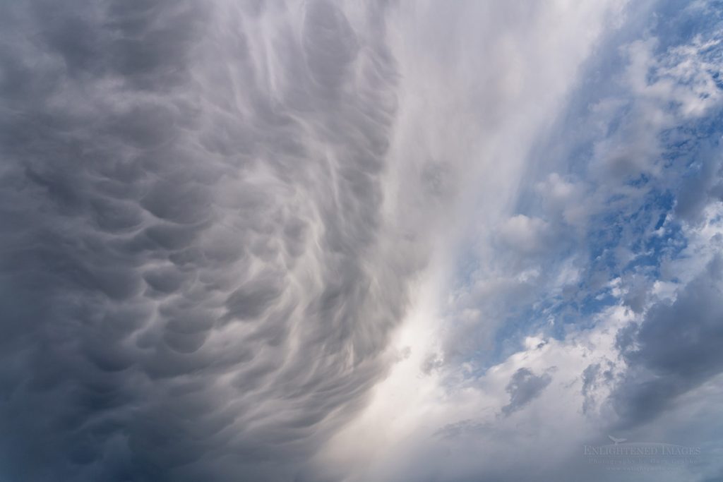 Photo picture of Monsoon mammatus clouds during rare stormy weather over the Bay Area in summer, Briones Regional Park, California