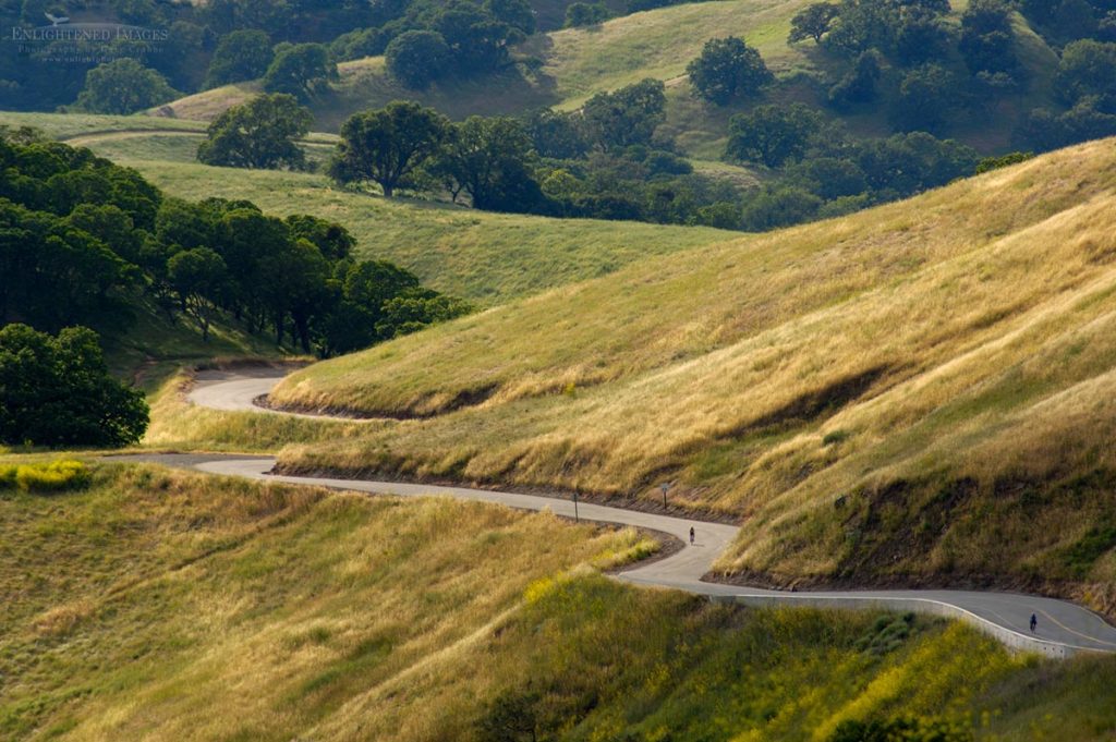 Photo picture of Bicycle riding on twisting curves on road through grass hills and oak trees, Mount Diablo State Park, California