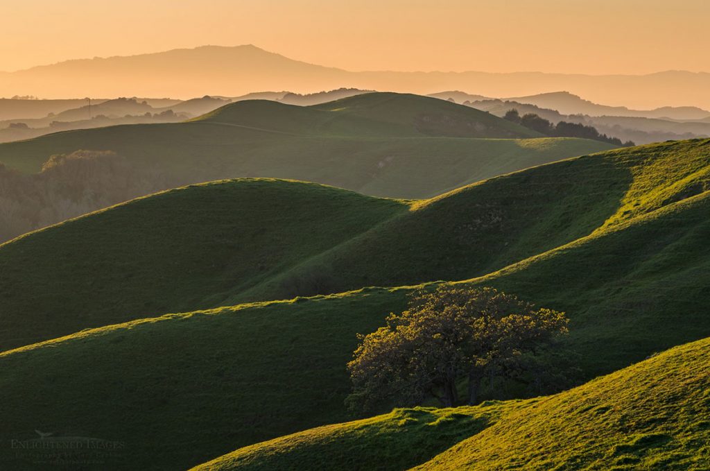 Photo picture of Green rolling hills at sunset looking toward Mount Tamalpais from the Briones Crest, Briones Regional Park, Contra Costa County, California