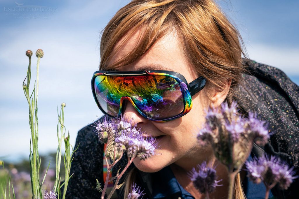 Photo picture of Woman enjoying the moment, smelling the wildflower blossoms in spring, Marin County, California